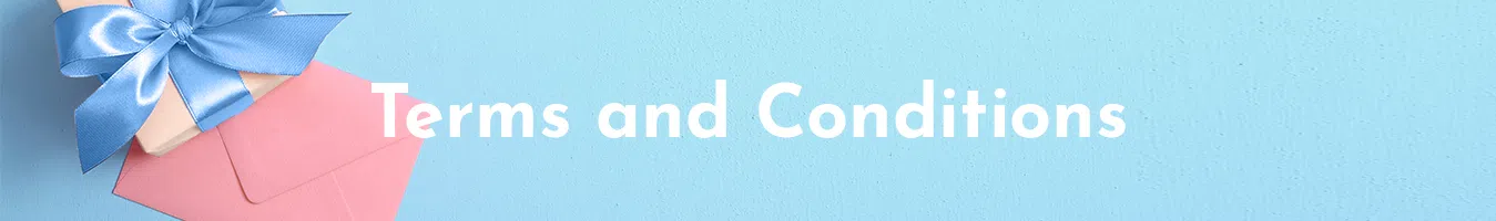 Terms and Conditions